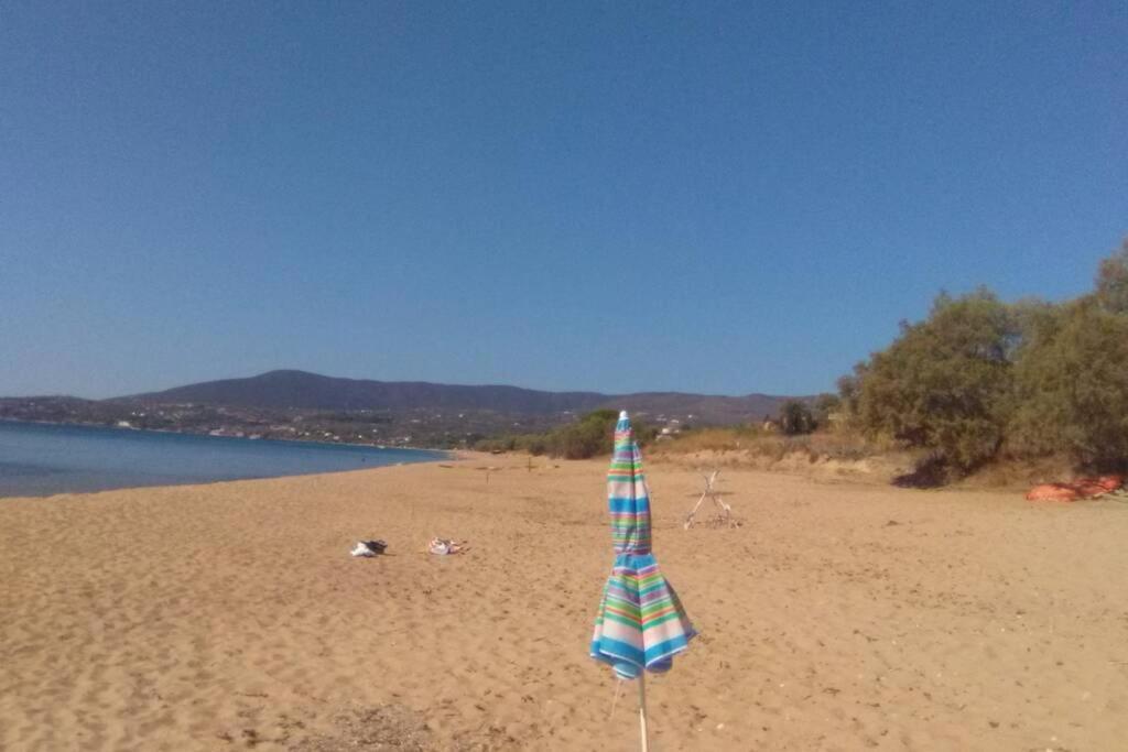 Ueber Den Daechern Von Koroni Εξωτερικό φωτογραφία
